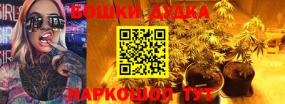 кокс Кингисепп