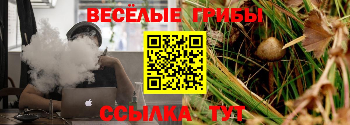 Галлюциногенные грибы Psilocybe Электросталь