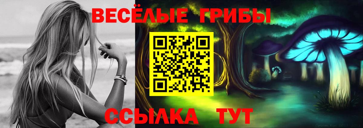 Электросталь  купить наркоту  Вход с VPN  Галлюциногенные грибы мицелий  Галлюциногенные грибы Psilocybe 